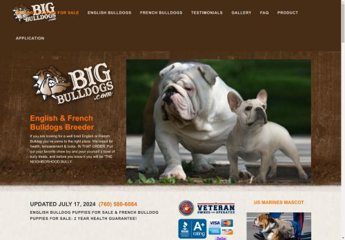 Bigbulldogs.com inc